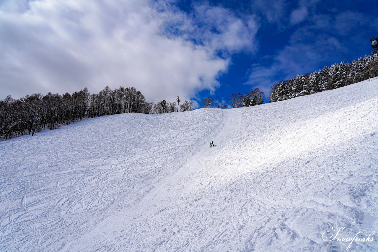 札幌藻岩山スキー場 ゲレンデの積雪は今季最深の125cm！コンディション良好で素晴らしいスキー日和に♪